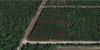 Hwy 59 and Starfish Ln. photo